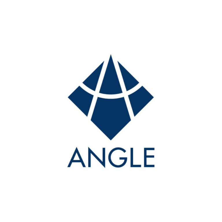 Angle Plc
